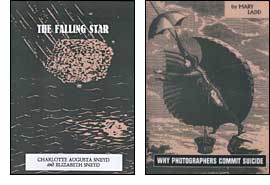 The Falling Star / Why Photographers Commit Suicide cover